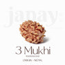 Certified 3 Mukhi Kantha Rudraksha Mala with light brown beads for spiritual healing, meditation, and emotional strength. India’s Largest Pooja Accessories Brand - www.Japay.in