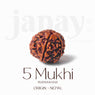 Certified 5 Mukhi Rudraksha Kantha Mala with brown natural beads, hand-strung for spiritual protection and meditation benefits. India’s Largest Jap Mala Store - www.japay.in