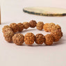 Certified brown rudraksha bracelet with silver capping, worn for spiritual protection and healing. India’s Premium Rudraksha Jap Mala Store- www.japay.in