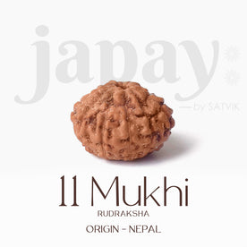 Certified 11 Mukhi brown Rudraksha bead from Indo origin placed on red cloth, symbolizing divine protection, mental clarity, and Lord Hanuman's blessings. India’s Largest Pooja Accessories Brand - www.Japay.in