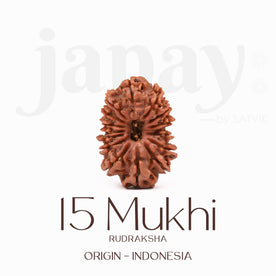 Certified 15 Mukhi Rudraksha Bead from Indonesia