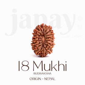 Certified 18 Mukhi Rudraksha Bead – Nepali