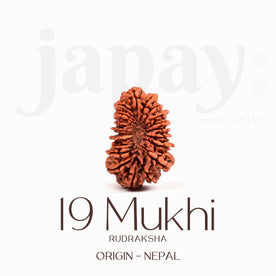 Certified 19 Mukhi Rudraksha Bead – Nepali