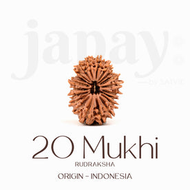 Certified 20 Mukhi Rudraksha Bead – Indonesia