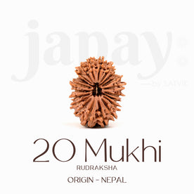 Certified 20 Mukhi Rudraksha Bead – Nepali