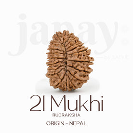 Certified 21 Mukhi Rudraksha Bead – Nepali