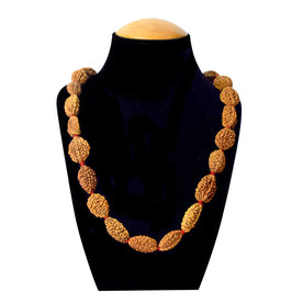 2 Mukhi Kantha Rudraksha Mala symbolizes unity and harmony, ideal for meditation, spiritual balance, and strengthening relationships – India’s Premium Jap Mala Store – www.japay.in