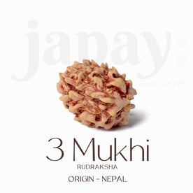 Certified 3 Mukhi Kantha Rudraksha Mala with light brown beads for spiritual healing, meditation, and emotional strength. India’s Largest Pooja Accessories Brand - www.Japay.in