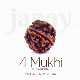Certified 4 Mukhi Natural Rudraksha Bead (Indonesia)
