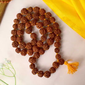 Certified 54 Dana Kantha Rudraksha Mala with dark brown natural beads, used for meditation, chanting, and spiritual healing. India’s Premium Rudraksha Jap Mala Store- www.japay.in