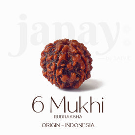 Certified 6 Mukhi brown Rudraksha bead placed on red fabric, symbolizing courage, focus, and inner discipline for spiritual and professional growth. India’s Largest Pooja Accessories Brand - www.Japay.in