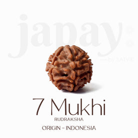 Certified 7 Mukhi Natural Rudraksha Bead (Indonesia)