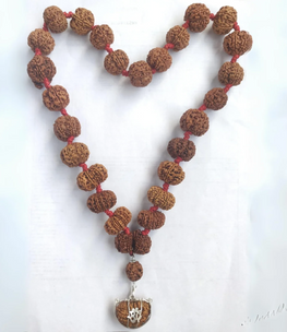 Certified 1 to 14 Mukhi Nepali Rudraksha Sidh Mala Without Silver Capping. India’s Premium Rudraksha Jap Mala Store- www.Japay.in