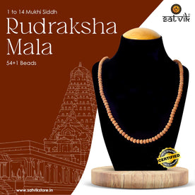 Certified 1 to 14 Mukhi Siddh Rudraksha Mala with brown beads and traditional capping – powerful spiritual necklace from Nepal. India’s Premium Rudraksha Jap Mala Store- www.japay.in

