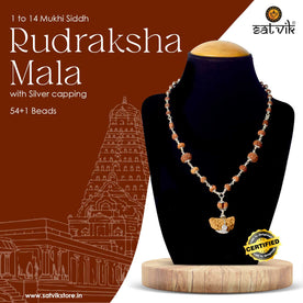 Certified 1 to 14 Face Rudraksha Mala with brown beads and silver capping, handcrafted with original Indonesian beads for divine protection and spiritual awakening. India’s Premium Rudraksha Jap Mala Store- www.japay .in
