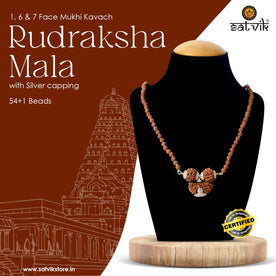 Certified 1, 6 & 7 Mukhi Rudraksha Kavach with silver capping – natural brown beads spiritual string from Nepal. India’s Premium Rudraksha Jap Mala Store- www.japay.in


