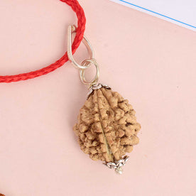 Certified 2 Mukhi Rudraksha Pendant with metal capping for spiritual balance and unity. India’s Premium Rudraksha Jap Mala Store- www.Japay.in
