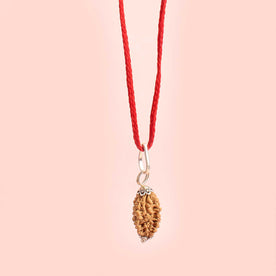Certified 2 Mukhi Rudraksha Pendant
