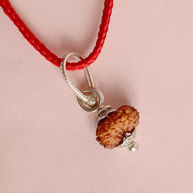Certified 14 Mukhi Rudraksha Pendant with metal capping for spiritual strength and intuition. India’s Premium Rudraksha Jap Mala Store- www.Japay.in