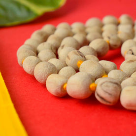 100% Original Tulsi  Kanthi Jap Mala (7-8mm)