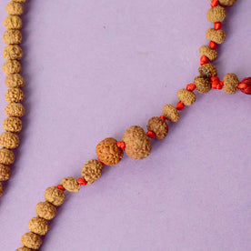 Certified 1 to 14 Mukhi Siddh Rudraksha Mala – Rare Divine Power in One Mala