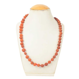 108 Dana Rudraksha Mala – Authentic Spiritual Beads