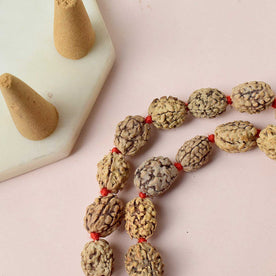 3 Mukhi Kantha Rudraksha Mala