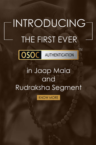 Mobile Slider Image