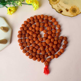 Certified dark brown rudraksha mala used for meditation, prayer, and spiritual healing. India’s Premium Rudraksha Jap Mala Store- www.japay.in

