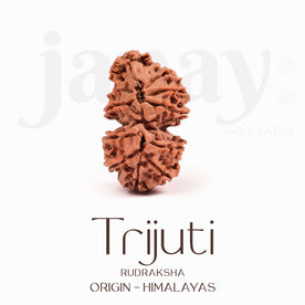Certified Trijuti Rudraksha Bead – Rare Himalayan bead formed by three naturally joined rudrakshas, symbolizing Trinity (Brahma, Vishnu, Mahesh), representing unity, supreme consciousness, and spiritual power. India’s Largest Brass Idols Brand - www. Japay.in